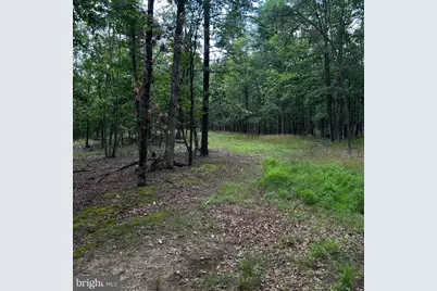 00 Headsville Rd, Keyser, WV 26726 - Photo 45