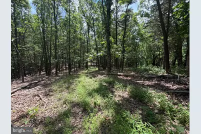 00 Headsville Rd, Keyser, WV 26726 - Photo 11