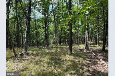 00 Headsville Rd, Keyser, WV 26726 - Photo 9