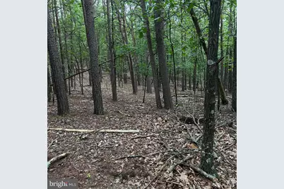 00 Headsville Rd, Keyser, WV 26726 - Photo 41
