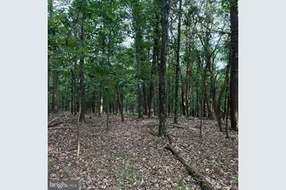 00 Headsville Rd, Keyser, WV 26726 - Photo 37