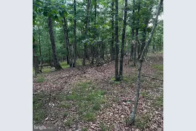 00 Headsville Rd, Keyser, WV 26726 - Photo 43
