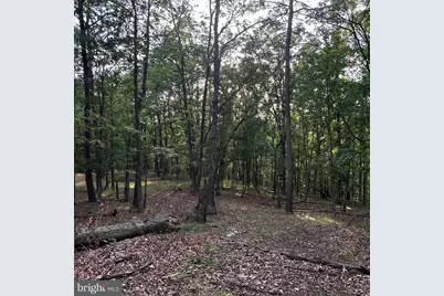 00 Headsville Rd, Keyser, WV 26726 - Photo 35