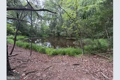 00 Headsville Rd, Keyser, WV 26726 - Photo 19