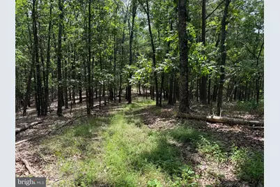 00 Headsville Rd, Keyser, WV 26726 - Photo 9