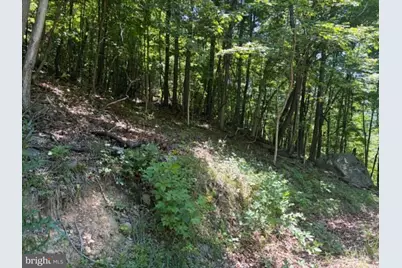 1515 Barnum Road, Keyser, WV 26726 - Photo 15