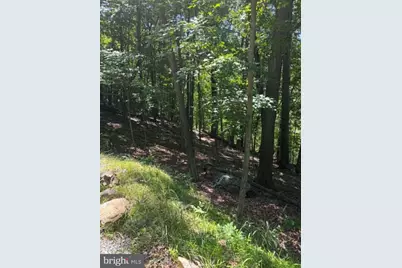 1515 Barnum Road, Keyser, WV 26726 - Photo 51