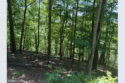 1515 Barnum Road, Keyser, WV 26726 - Photo 47