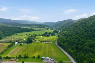 10566 Northwestern Turnpike, New Creek, WV 26743 - Photo 33