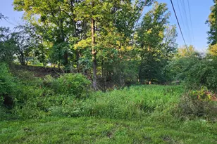 4549 Georges Run Rd, Ridgeley, WV 26753 - Photo 19