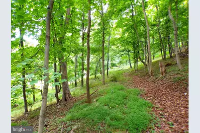 10.1 Ac Waxler Road, Keyser, WV 26726 - Photo 3