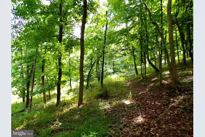 10.1 Ac Waxler Road, Keyser, WV 26726 - Photo 5
