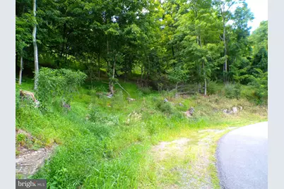 10.1 Ac Waxler Road, Keyser, WV 26726 - Photo 7