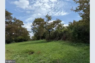 Dragonfly Lane, Elk Garden, WV 26717 - Photo 7