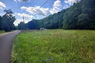 497 Dry Run Rd, Burlington, WV 26710 - Photo 21