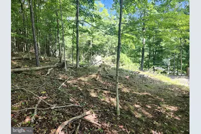 497 Dry Run Rd., Burlington, WV 26710 - Photo 49