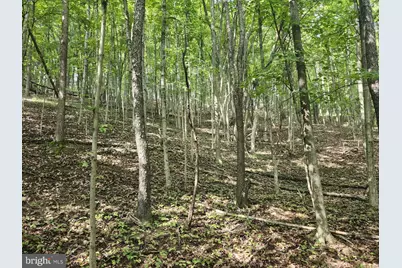 497 Dry Run Rd., Burlington, WV 26710 - Photo 53