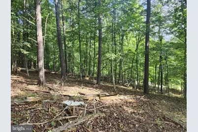 497 Dry Run Rd., Burlington, WV 26710 - Photo 45