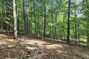 497 Dry Run Rd, Burlington, WV 26710 - Photo 45