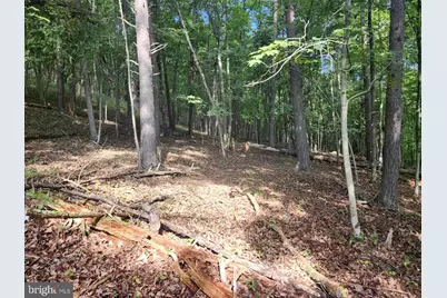 497 Dry Run Rd., Burlington, WV 26710 - Photo 47
