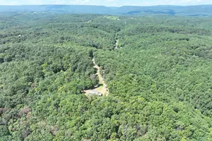 1433 Ed Welsh Rd, Burlington, WV 26710 - Photo 33