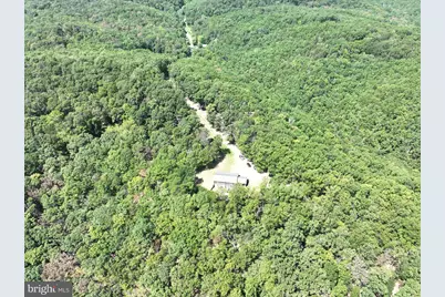 1433 Ed Welsh Road, Burlington, WV 26710 - Photo 31