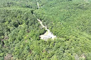 1433 Ed Welsh Rd, Burlington, WV 26710 - Photo 31