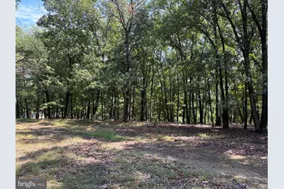 1433 Ed Welsh Road, Burlington, WV 26710 - Photo 23