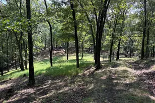 1433 Ed Welsh Rd, Burlington, WV 26710 - Photo 21