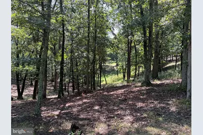1433 Ed Welsh Road, Burlington, WV 26710 - Photo 17