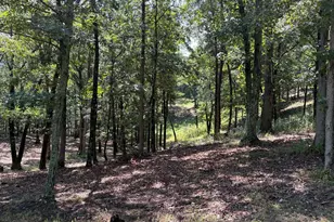 1433 Ed Welsh Rd, Burlington, WV 26710 - Photo 17