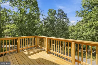 398 Staggs Run Lane, Keyser, WV 26726 - Photo 47