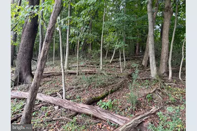1151 Miller Road, Ridgeley, WV 26753 - Photo 3