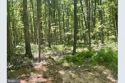 Upper Abrams Creek Road, Elk Garden, WV 26717 - Photo 1