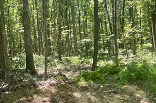 Upper Abrams Creek Rd, Elk Garden, WV 26717 - Photo 1
