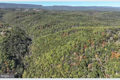 68.79 Ac Harness Run Road, Burlington, WV 26710 - Photo 35