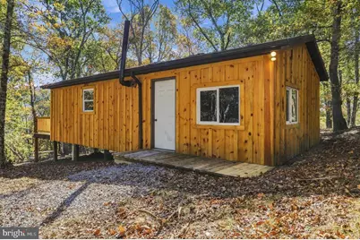 68.79 Ac Harness Run Road, Burlington, WV 26710 - Photo 3