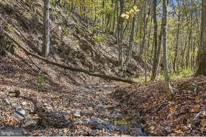 68.79 Ac Harness Run Road, Burlington, WV 26710 - Photo 17