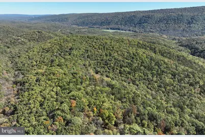 68.79 Ac Harness Run Road, Burlington, WV 26710 - Photo 31