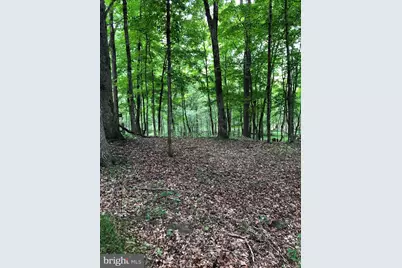 Timber Ridge, Berkeley Springs, WV 25411 - Photo 15