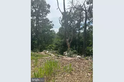 3 Blumb Lane, Great Cacapon, WV 25422 - Photo 9