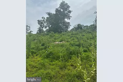 4 Blumb Lane, Great Cacapon, WV 25422 - Photo 13