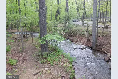 Plum Tree Lane, Berkeley Springs, WV 25411 - Photo 49