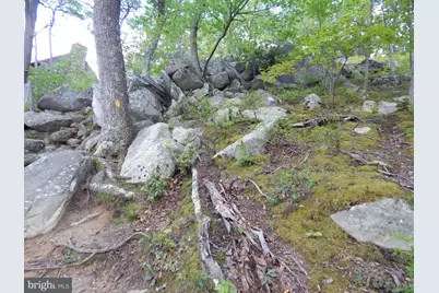 Plum Tree Lane, Berkeley Springs, WV 25411 - Photo 53