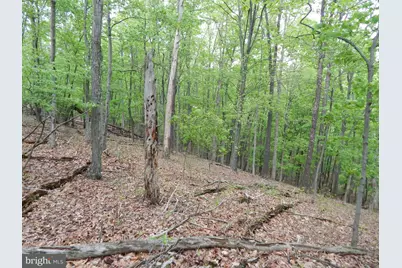 Plum Tree Lane, Berkeley Springs, WV 25411 - Photo 9