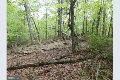 Plum Tree Lane, Berkeley Springs, WV 25411 - Photo 15