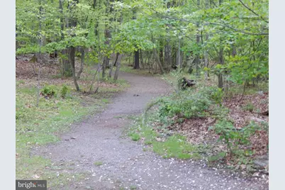 Plum Tree Lane, Berkeley Springs, WV 25411 - Photo 55