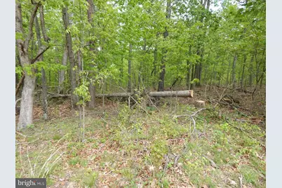 Plum Tree Lane, Berkeley Springs, WV 25411 - Photo 5