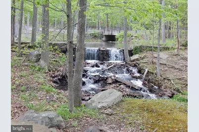 Plum Tree Lane, Berkeley Springs, WV 25411 - Photo 35