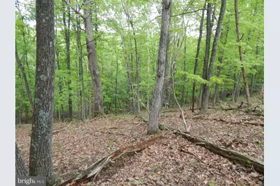 Plum Tree Lane, Berkeley Springs, WV 25411 - Photo 7